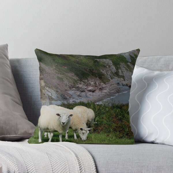 Item preview, Three Sheep On Grazeing On South Devon Coast designed and sold by richard wolfe.