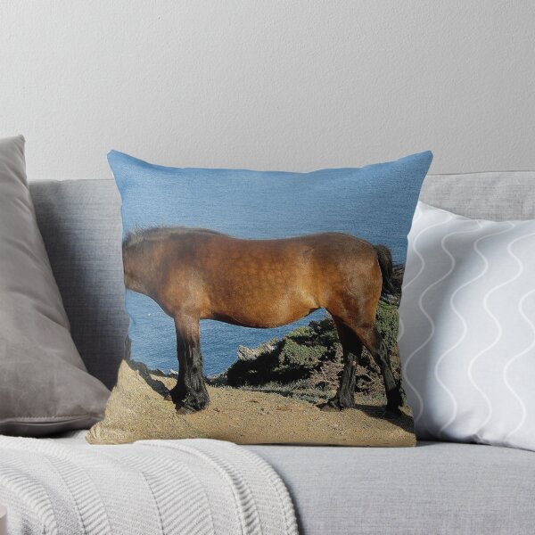 Item preview, Dartmoor Pony On Cliff Edge In Remote South Devon designed and sold by richard wolfe.