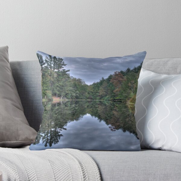 Item preview, Mirror Water designed and sold by tmbolle.