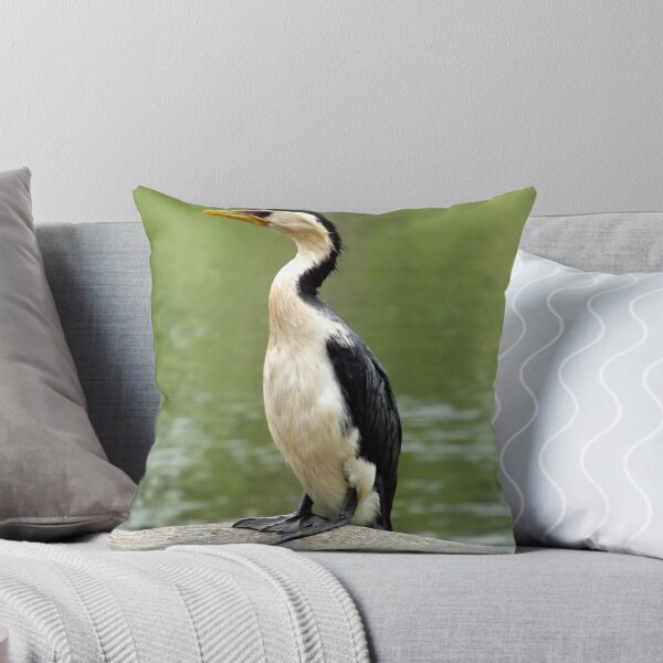 Item preview, Pied Cormorant 1 designed and sold by Paul Todd.