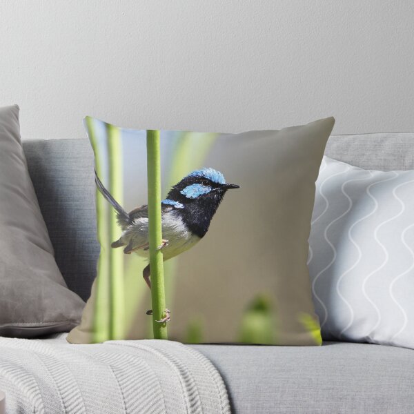 Item preview,  Superb Fairywren (Malurus cyaneus),  designed and sold by bowenite.