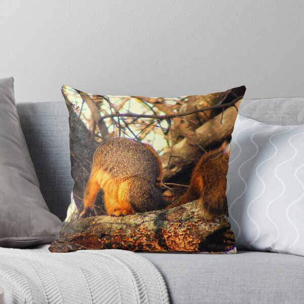 Item preview, Fox Squirrel Scratching An Itch designed and sold by DonCondley.