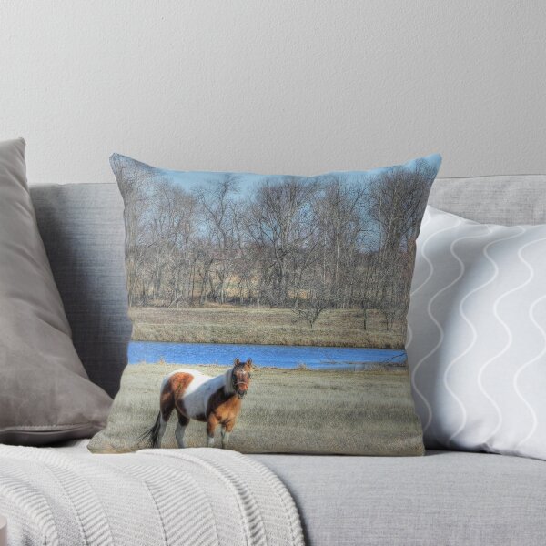 Item preview, Paint by the Pond designed and sold by bannercgtl10.