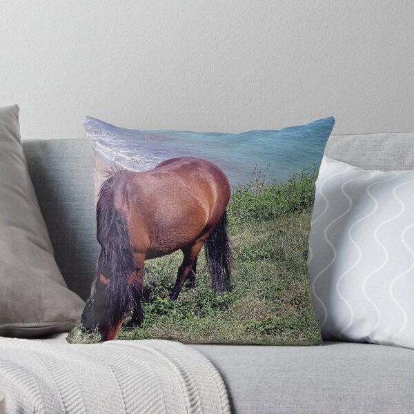 Aperçu de l'œuvre Dartmoor Pony Grazeing On Cliff Edge In Remote South Devon créée et vendue par richard wolfe.