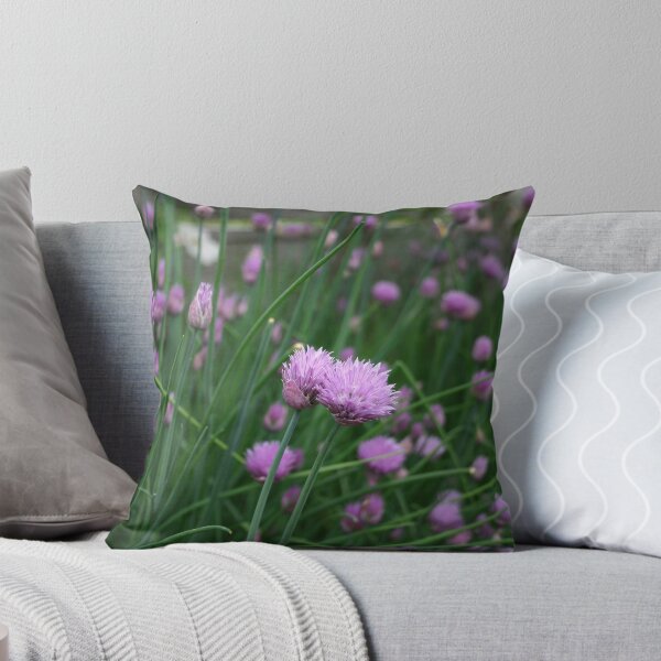 Artikelvorschau, Onion Chives entworfen und verkauft von Alyce Taylor.