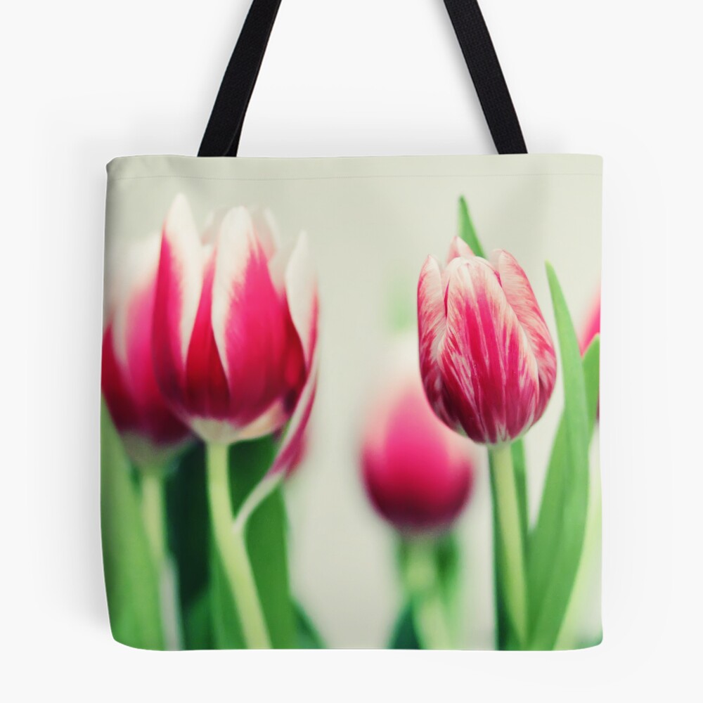 Vista previa del artículo con la obra «Bolsa estampada de tela», diseñado y vendido por smilyjay.