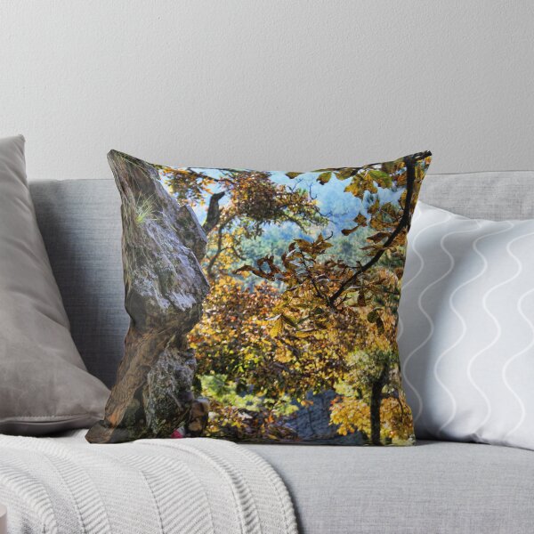 Item preview, Fall Color At Robber's Cave designed and sold by Carolyn  Fletcher.