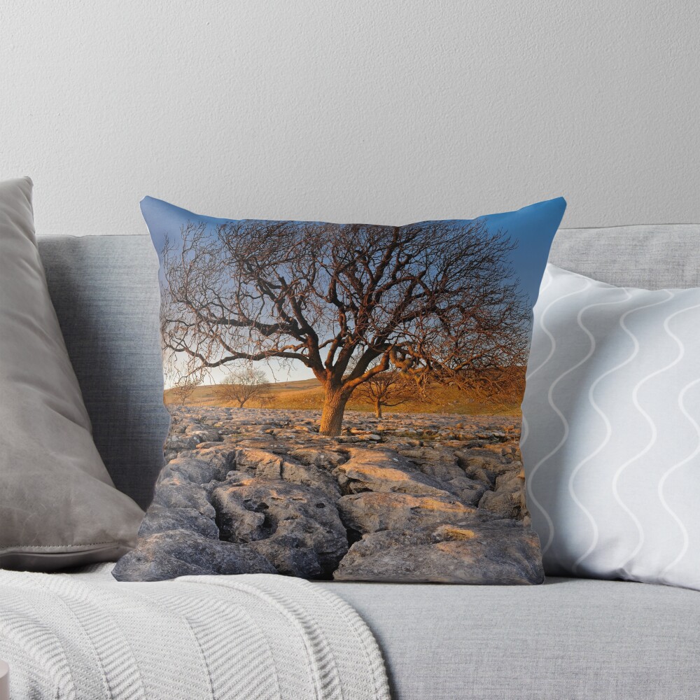 Item preview, Throw Pillow designed and sold by sjbowen.