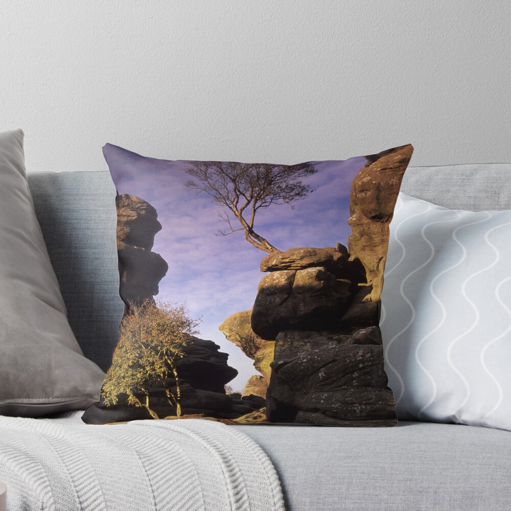 Item preview, Throw Pillow designed and sold by sjbowen.