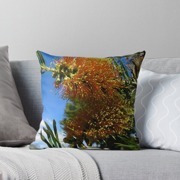 Item preview, Bottlebrush - Callistemon designed and sold by Geoffrey Higges.