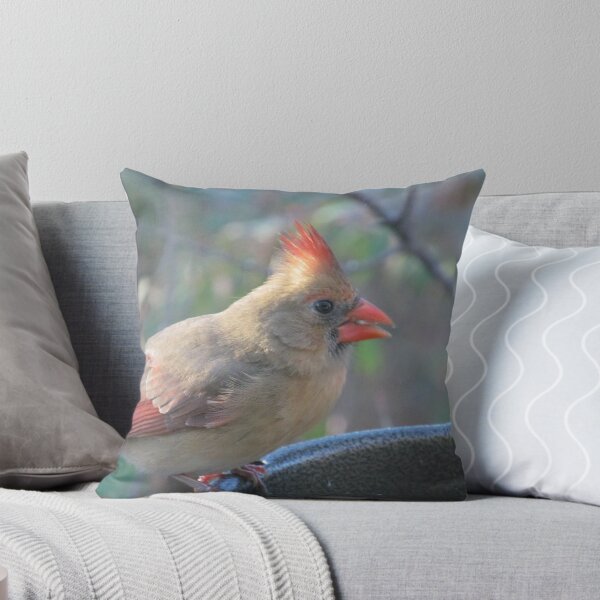 Aperçu de l'œuvre Female Cardinal créée et vendue par GreyFeather.
