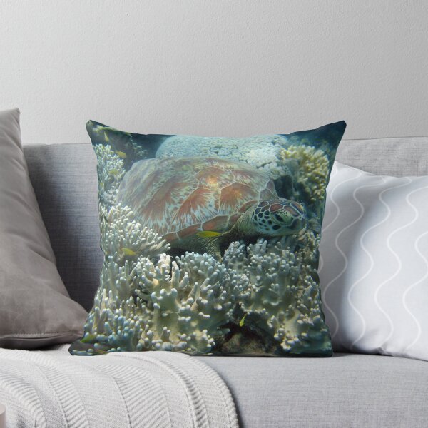 Item preview, Taking it Easy- Turtle  designed and sold by springs.