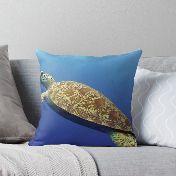 Item preview, TURTLE FLIGHT designed and sold by springs.