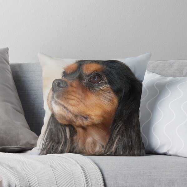 Item preview, La mirada devota de un Cavalier King Charles Spaniel designed and sold by daphsam.
