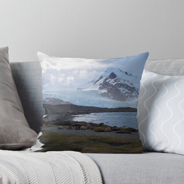 Artikelvorschau, Peggotty Bluff, King Haakon Bay, South Georgia entworfen und verkauft von Travelimages.com.au.