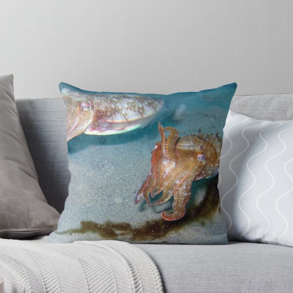 Item preview, Pigmy Cuttle Fish designed and sold by springs.