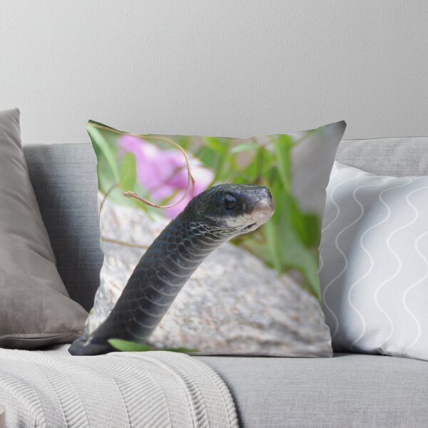 Item preview, Black Racer Snake designed and sold by Kathy Baccari.