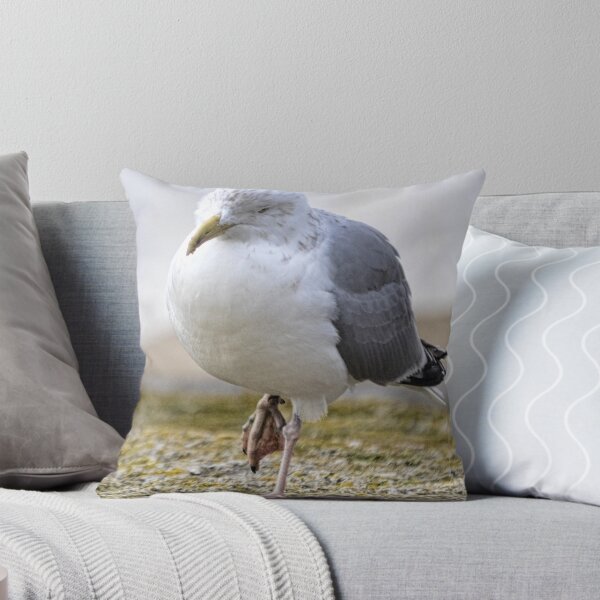 Item preview, Poorly Gull designed and sold by lynn carter.