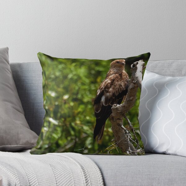 Item preview, 120120 Noosa River Hawk? designed and sold by Jaxybelle.