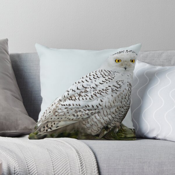 Snowy Owls Throw Pillow