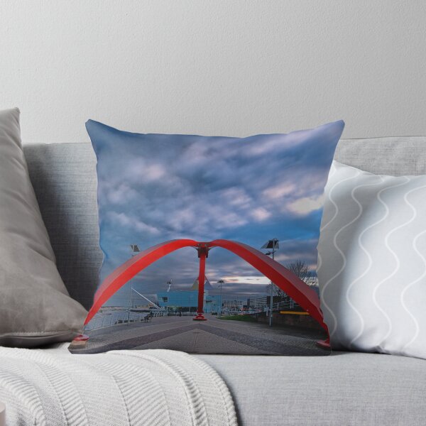 Item preview, The Newport Wave, Newport, Gwent designed and sold by Ciaran Sidwell.