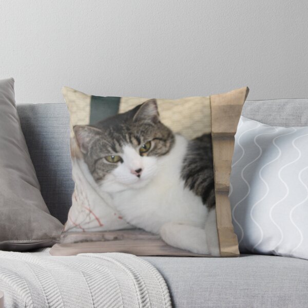 Item preview, my pillow designed and sold by sharon Wingard.