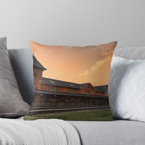 Bristol Train Station Panorama Throw Pillow