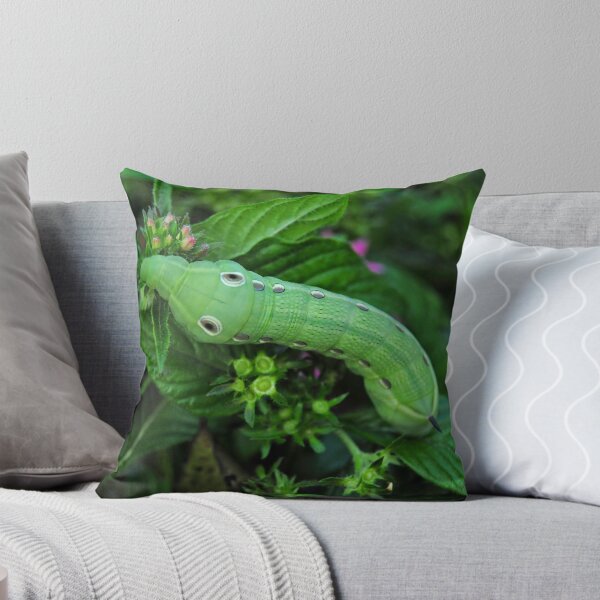 Item preview, Tersa Shinx Moth Caterpillar designed and sold by Kathy Baccari.
