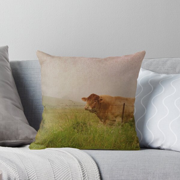 Item preview, contemplation designed and sold by Clare Colins.