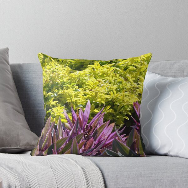 Item preview, Plants At The Malecon - Plantas En El Malecon designed and sold by Bernhard Matejka.