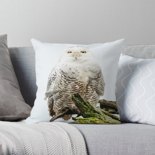 Snowy Owl Throw Pillow