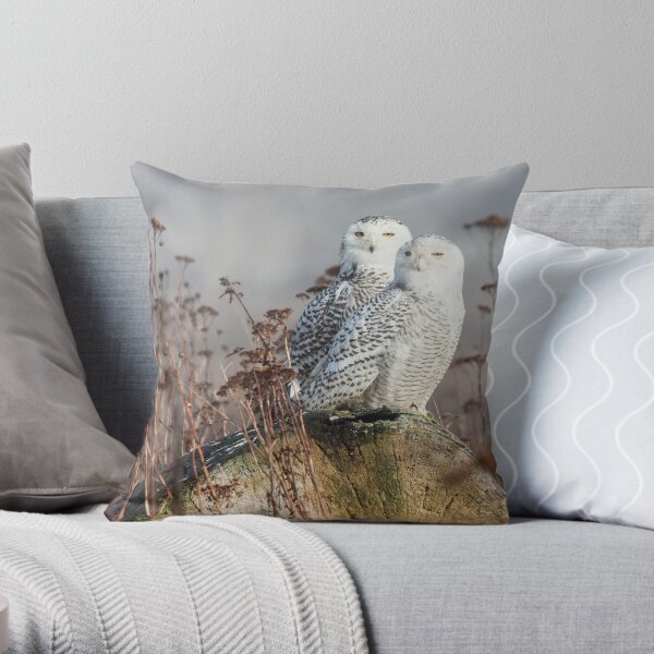 Snowy Owl Pair Throw Pillow