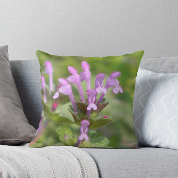 Item preview, Tiny Henbit designed and sold by Navigator.