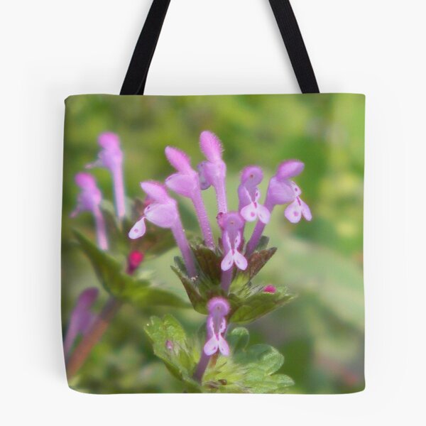 Item preview, Tiny Henbit designed and sold by Navigator.