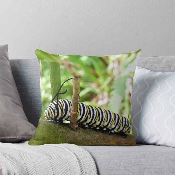 Item preview, Monarch Butterfly caterpillar (Danaus Plexippus) designed and sold by Margaret  Hyde.