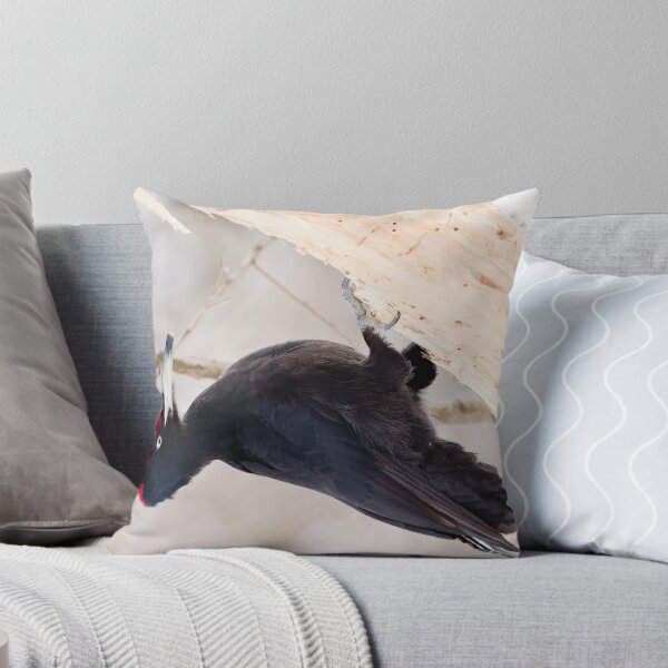 Item preview, Black woodpecker (Dryocopus martius)  designed and sold by Vasil Popov.