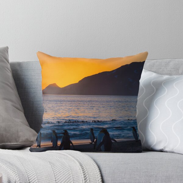 Artikelvorschau, Sunrise, St Andrew's Bay, South Georgia entworfen und verkauft von Travelimages.com.au.