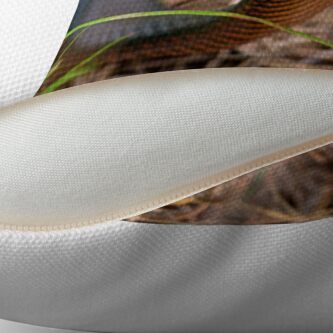 Alternate view of Red Belly Black Snake Throw Pillow