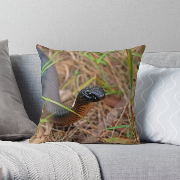 Red Belly Black Snake Throw Pillow