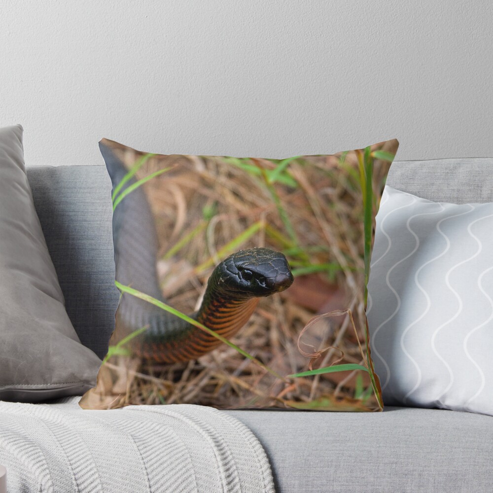 Item preview, Throw Pillow designed and sold by RICHARDW.