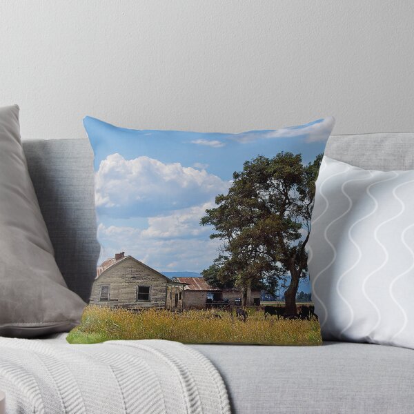 Artikelvorschau, Derelict farmhouse, Cardinia swamp, Gippsland, Victoria. entworfen und verkauft von johnrf.