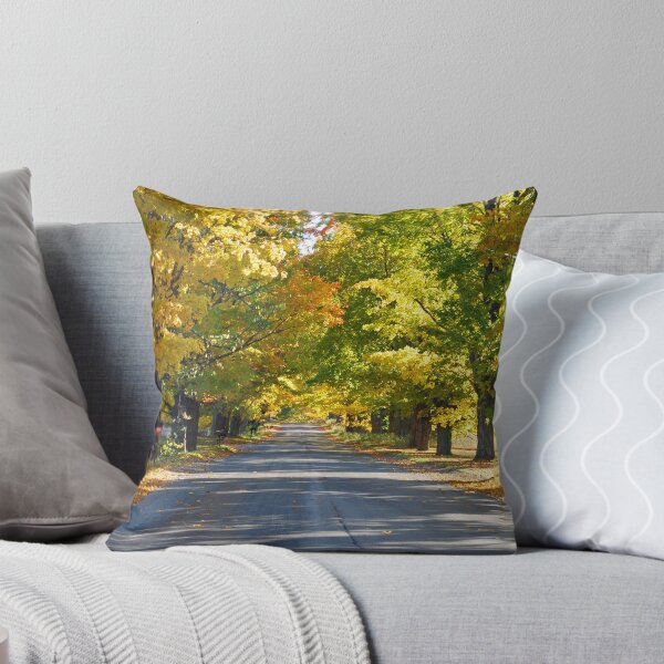 Item preview, Northern Michigan Fall Trees designed and sold by North22Gallery.