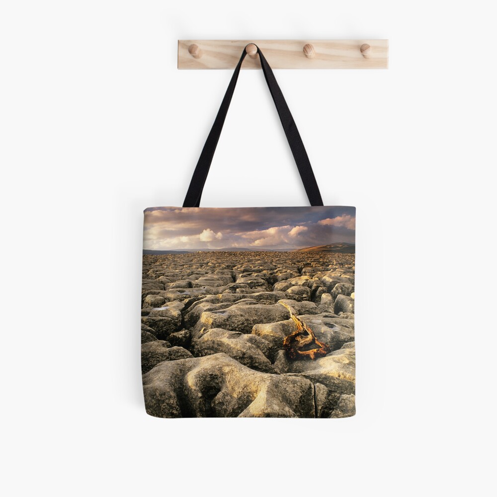Item preview, All Over Print Tote Bag designed and sold by sjbowen.