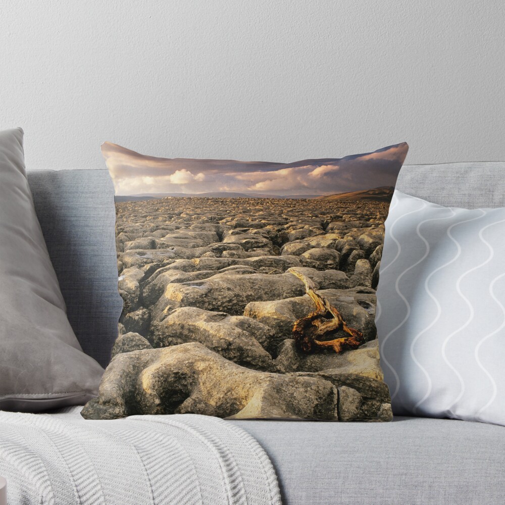 Item preview, Throw Pillow designed and sold by sjbowen.