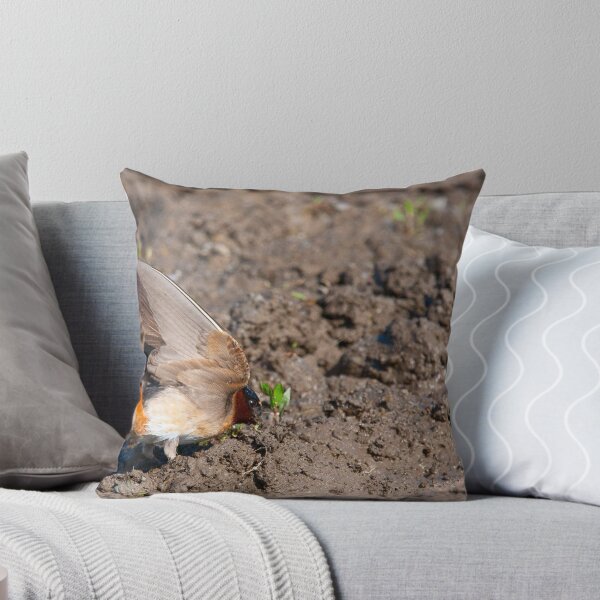 Item preview, A Small Window Of Opportunity - The Cliff Swallow designed and sold by DigitallyStill.