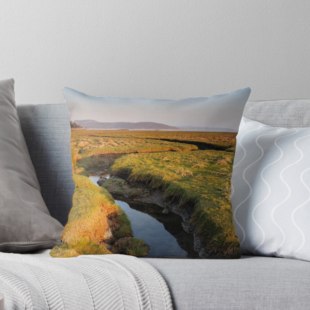 Item preview, Throw Pillow designed and sold by sjbowen.