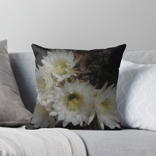 Item preview, White Cactus Flowers designed and sold by Geoffrey Higges.