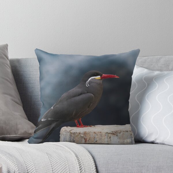 Item preview, Inca Tern designed and sold by John Absher.