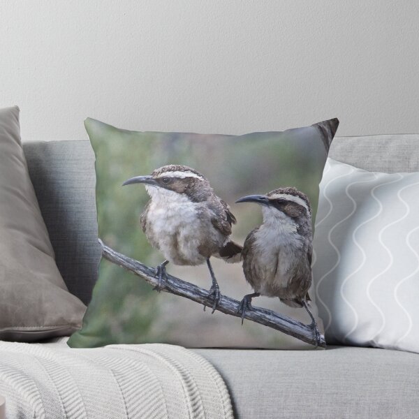 Item preview, White browed-Babblers designed and sold by Rick Playle.