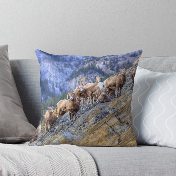 Item preview, Sheep Cliff designed and sold by James (820Photography) Anderson.